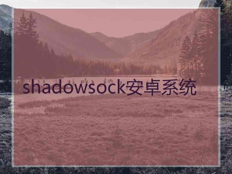 shadowsock安卓系统