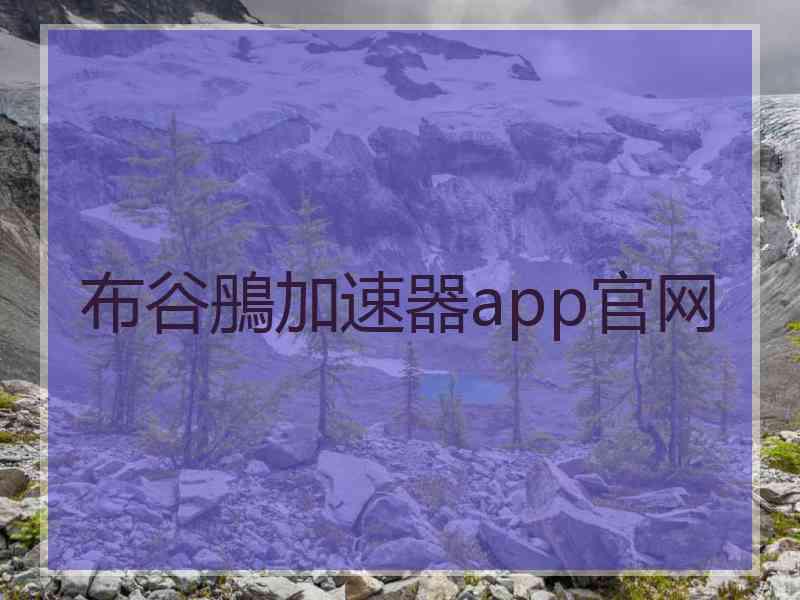 布谷鴅加速器app官网