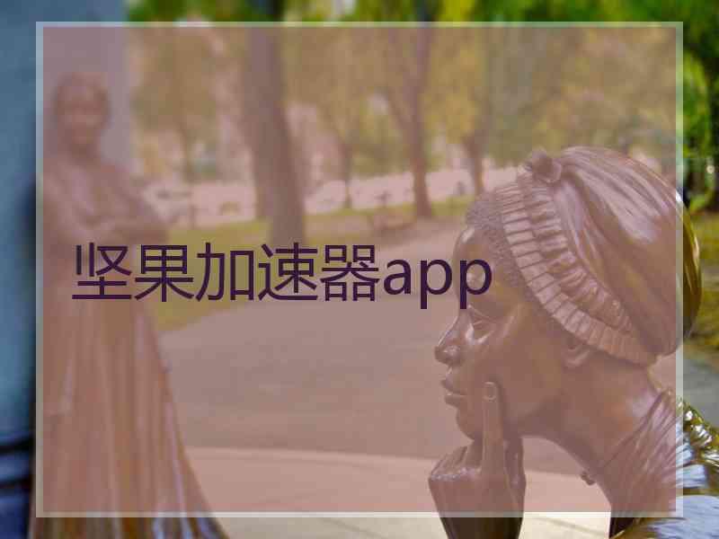 坚果加速器app