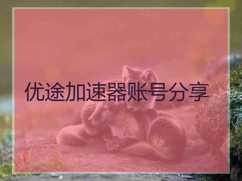 优途加速器账号分享