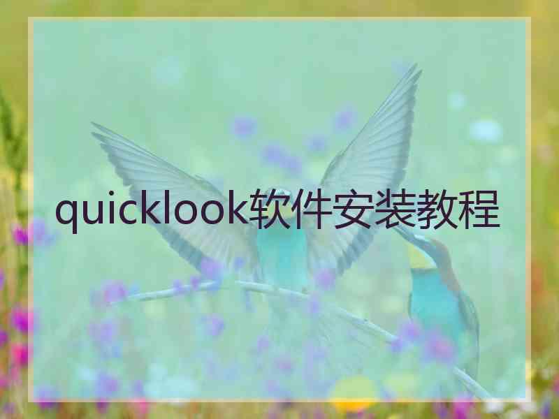 quicklook软件安装教程