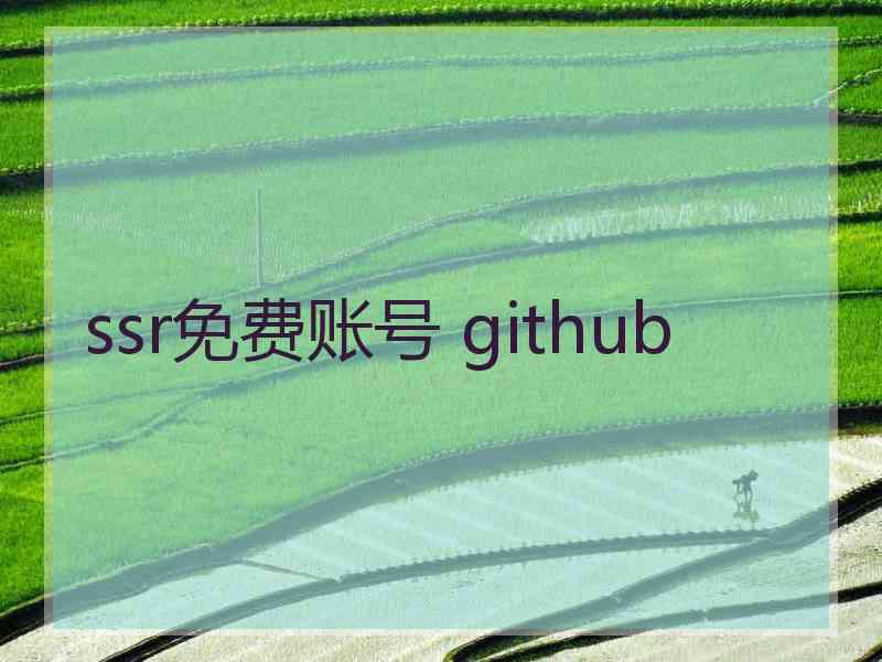 ssr免费账号 github