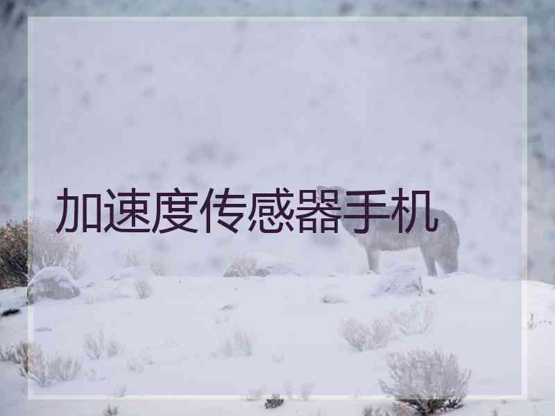 加速度传感器手机