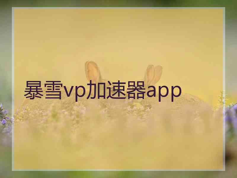 暴雪vp加速器app