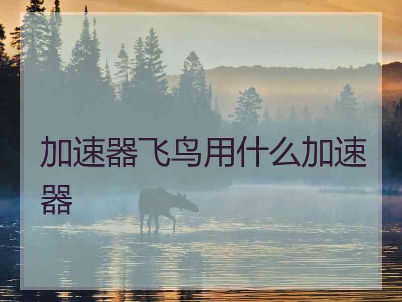 加速器飞鸟用什么加速器