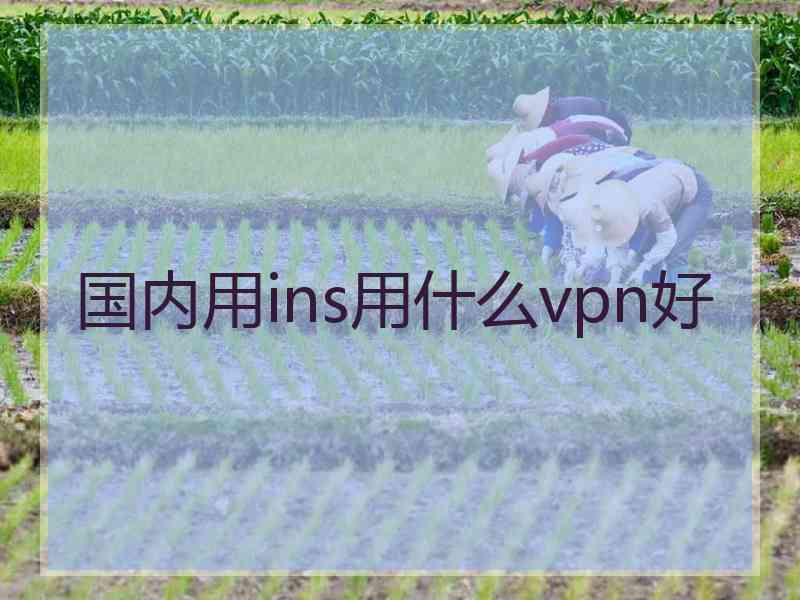 国内用ins用什么vpn好