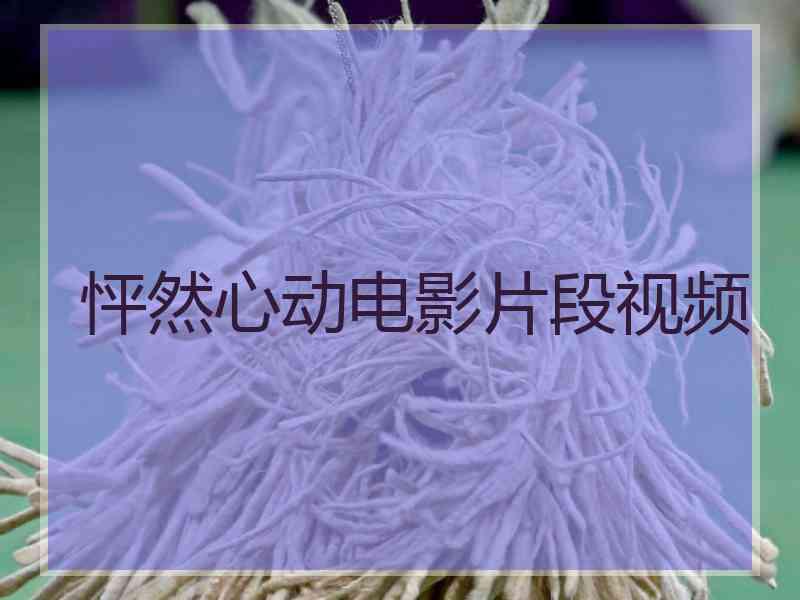怦然心动电影片段视频