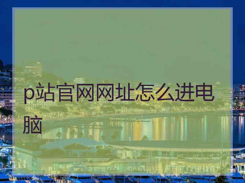 p站官网网址怎么进电脑