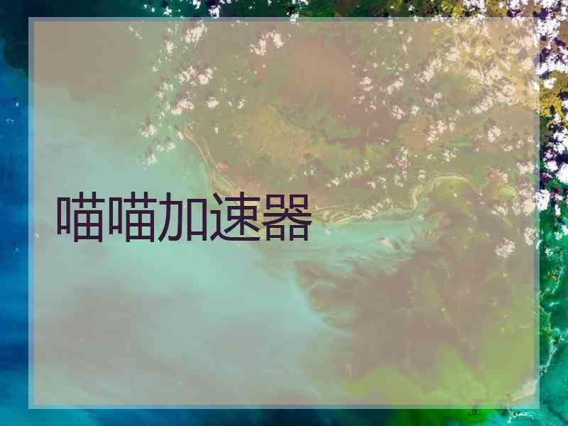 喵喵加速器