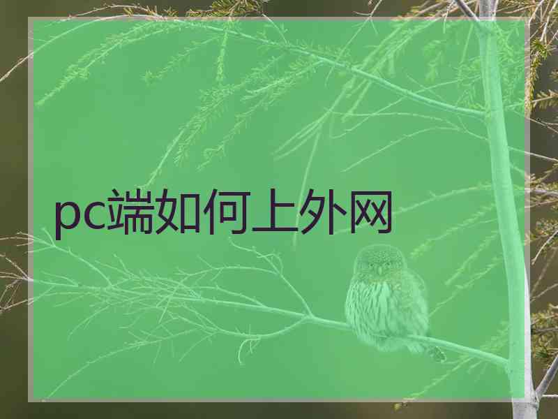pc端如何上外网