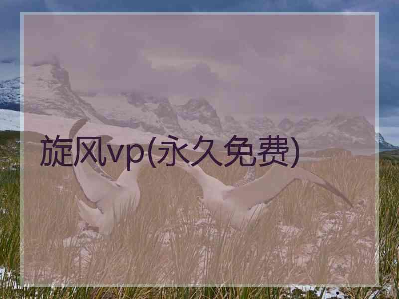 旋风vp(永久免费)