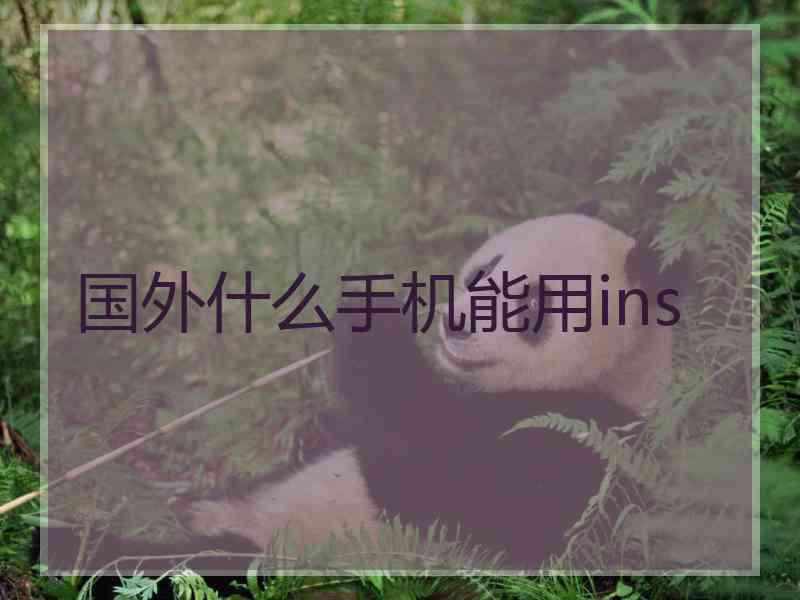 国外什么手机能用ins