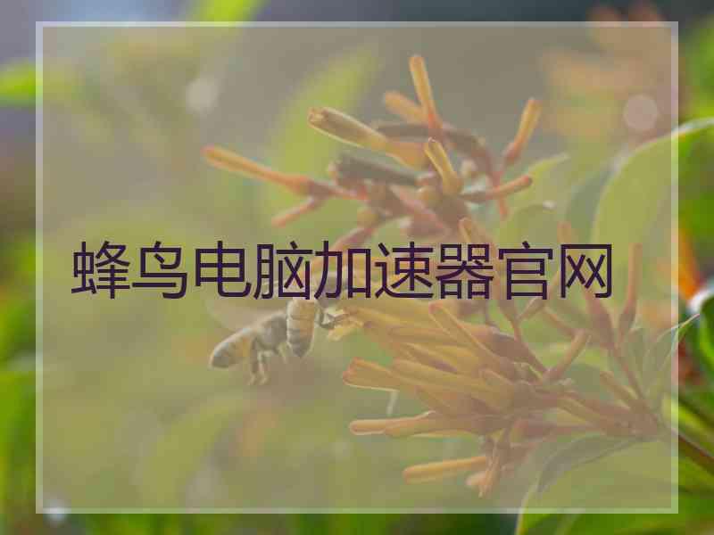 蜂鸟电脑加速器官网