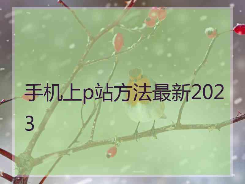 手机上p站方法最新2023