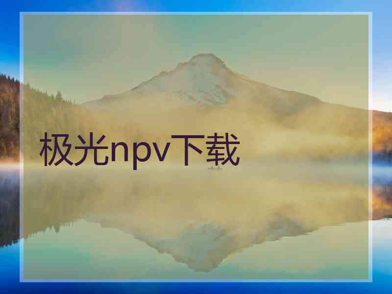 极光npv下载