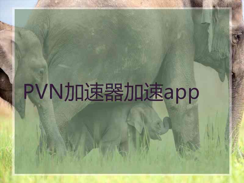 PVN加速器加速app