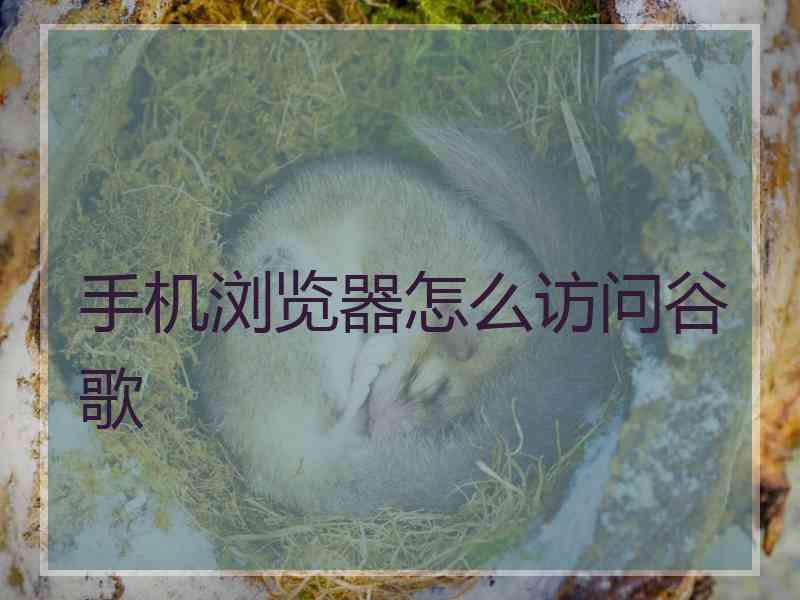 手机浏览器怎么访问谷歌