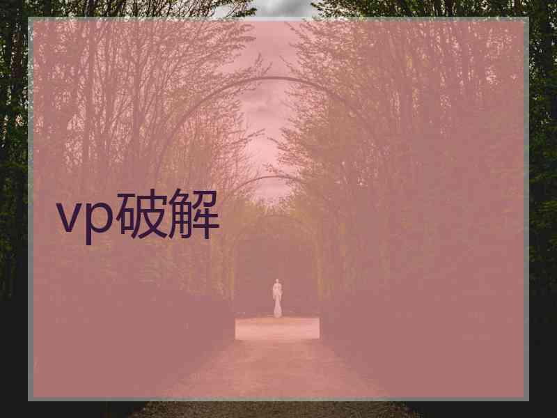 vp破解