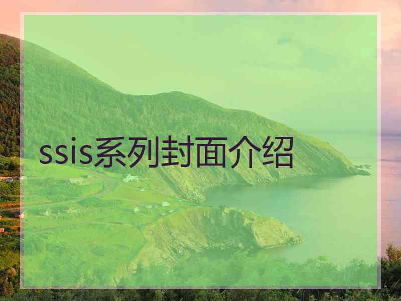 ssis系列封面介绍