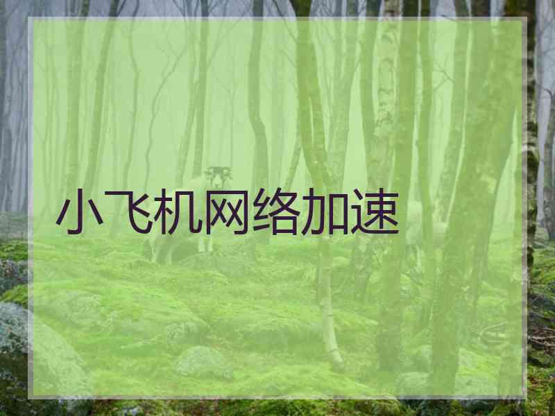 小飞机网络加速