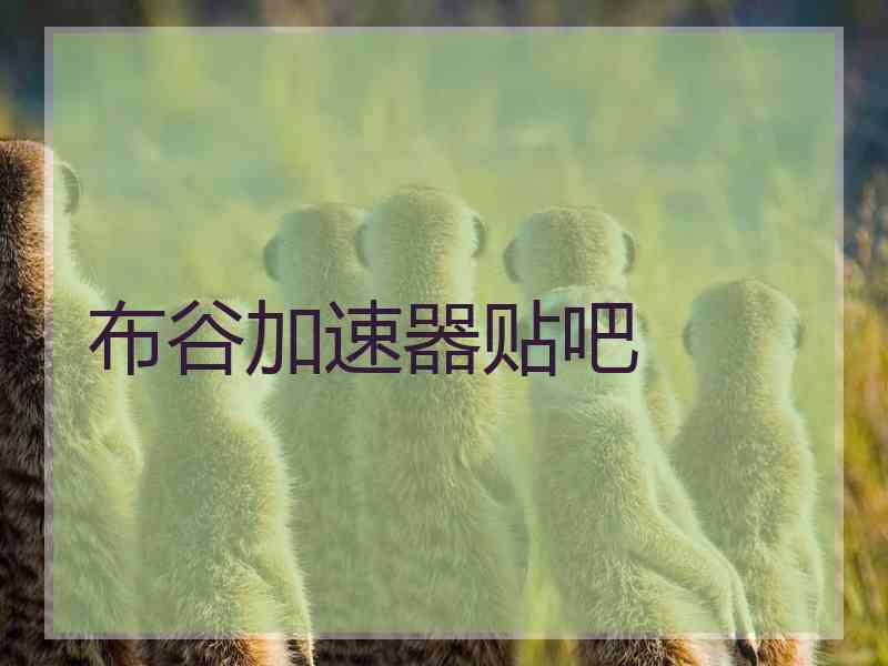 布谷加速器贴吧
