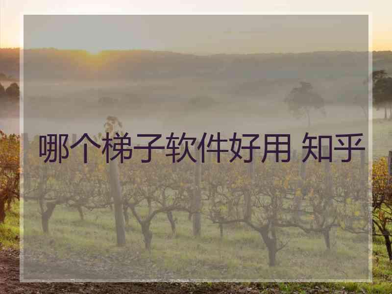 哪个梯子软件好用 知乎