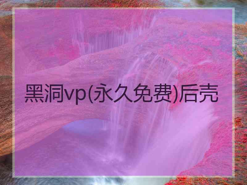 黑洞vp(永久免费)后壳
