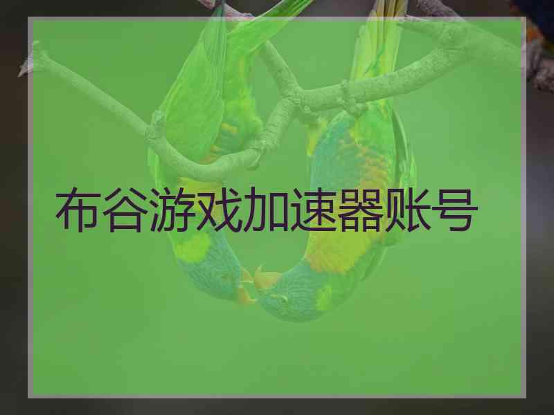布谷游戏加速器账号
