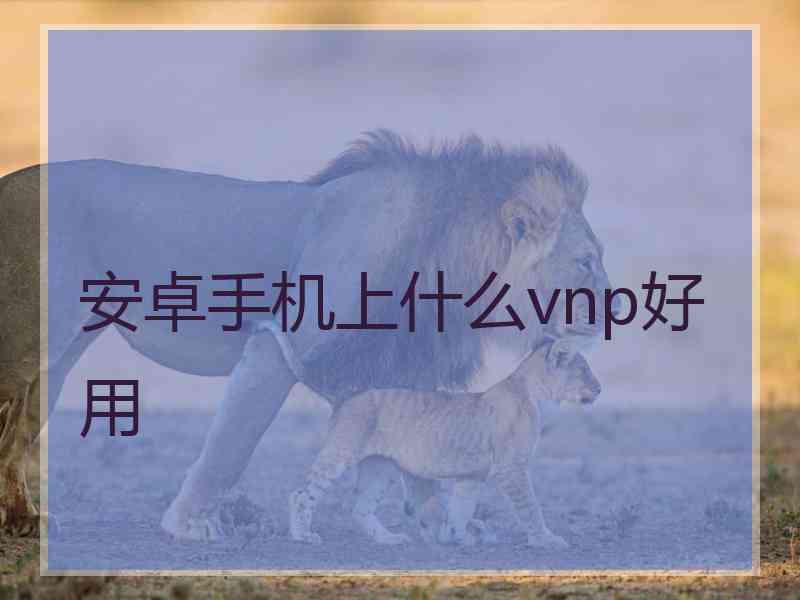 安卓手机上什么vnp好用