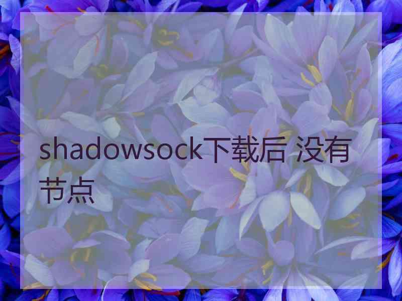 shadowsock下载后 没有节点