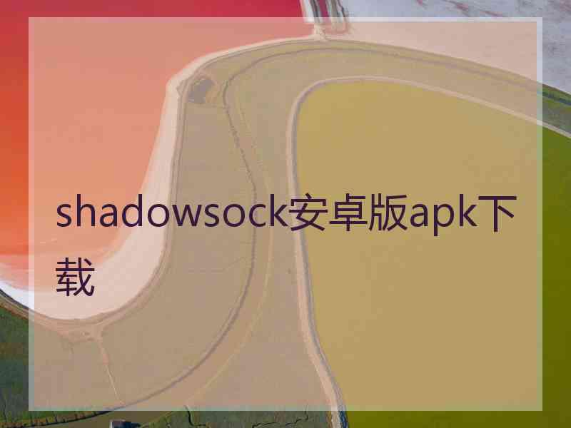 shadowsock安卓版apk下载