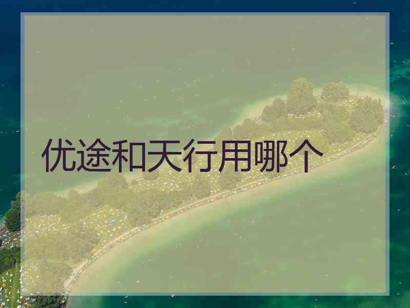 优途和天行用哪个