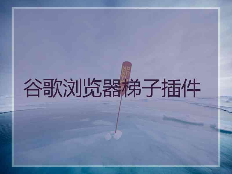 谷歌浏览器梯子插件