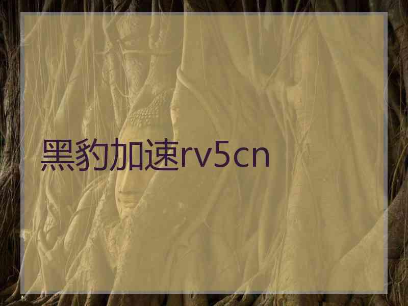 黑豹加速rv5cn