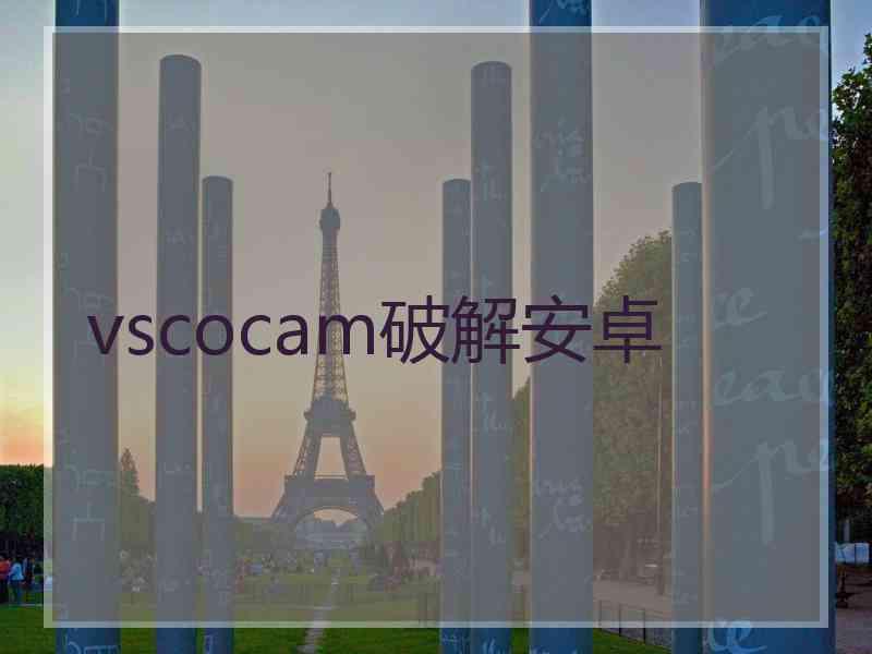 vscocam破解安卓