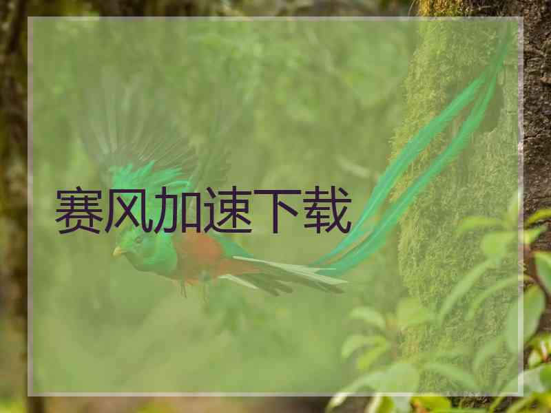 赛风加速下载