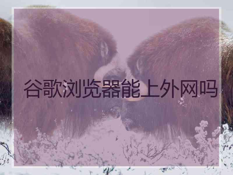 谷歌浏览器能上外网吗
