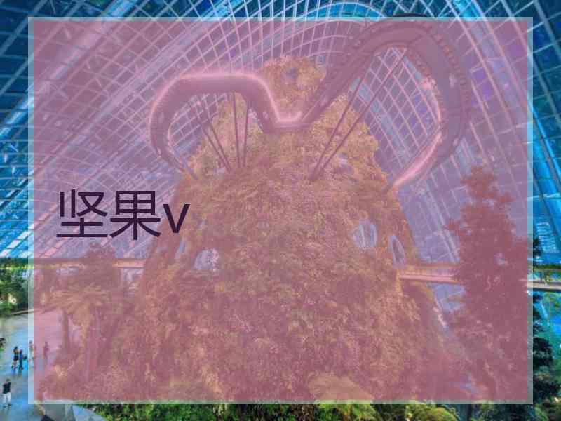 坚果v