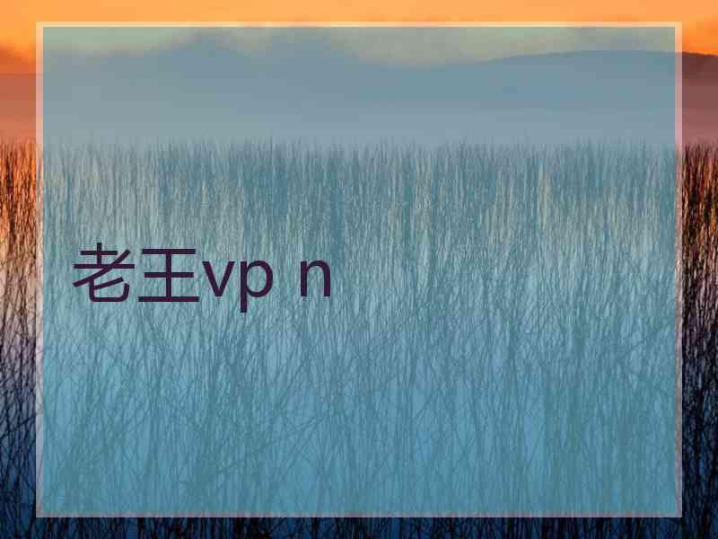 老王vp n