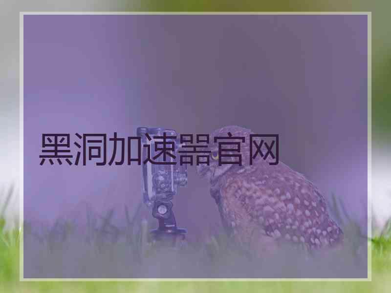 黑洞加速噐官网