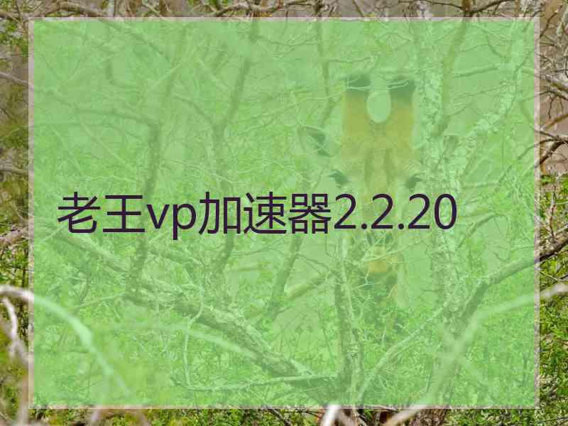 老王vp加速器2.2.20