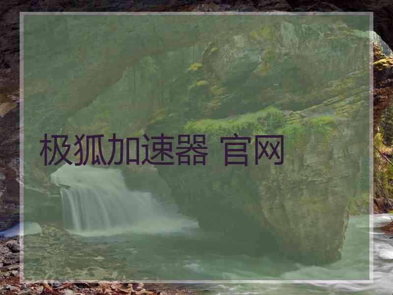 极狐加速器 官网
