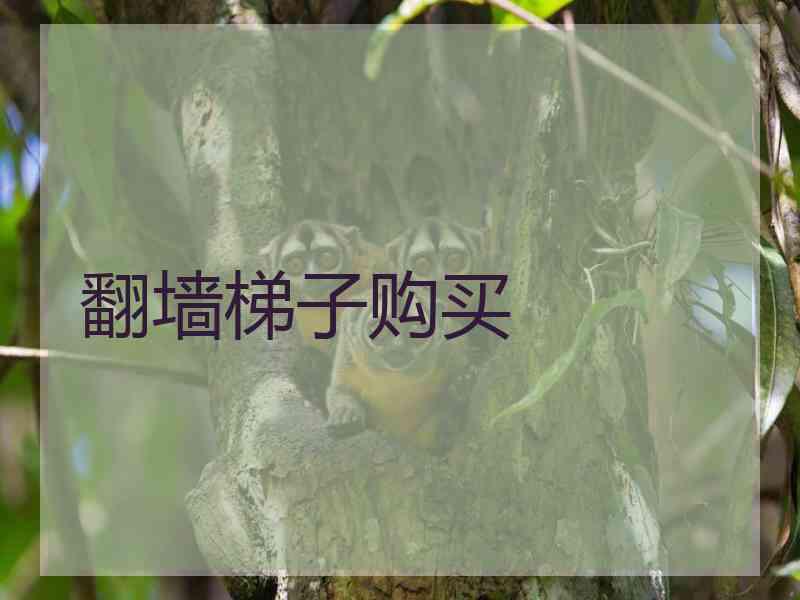 翻墙梯子购买