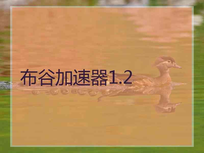 布谷加速器1.2
