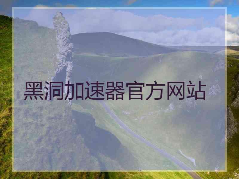 黑洞加速器官方网站