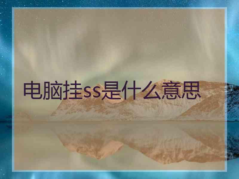 电脑挂ss是什么意思