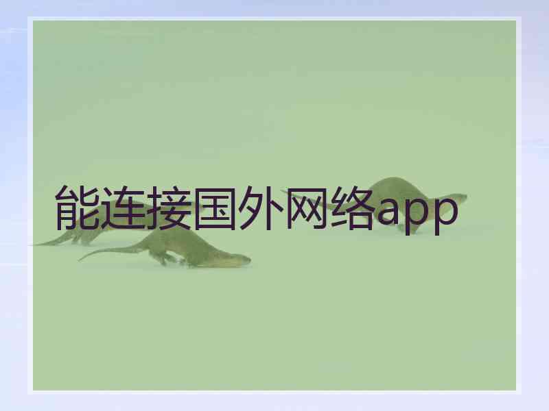 能连接国外网络app