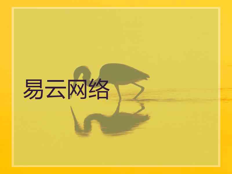 易云网络