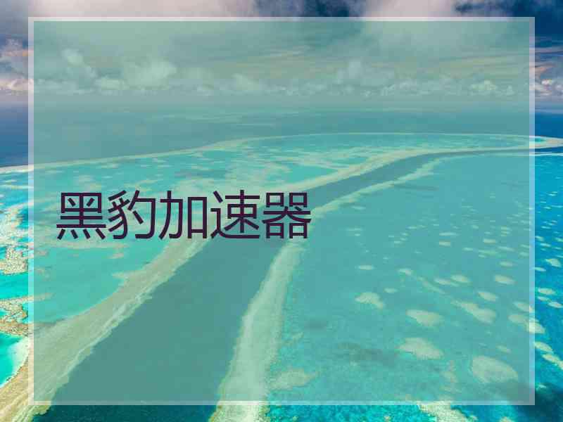 黑豹加速器