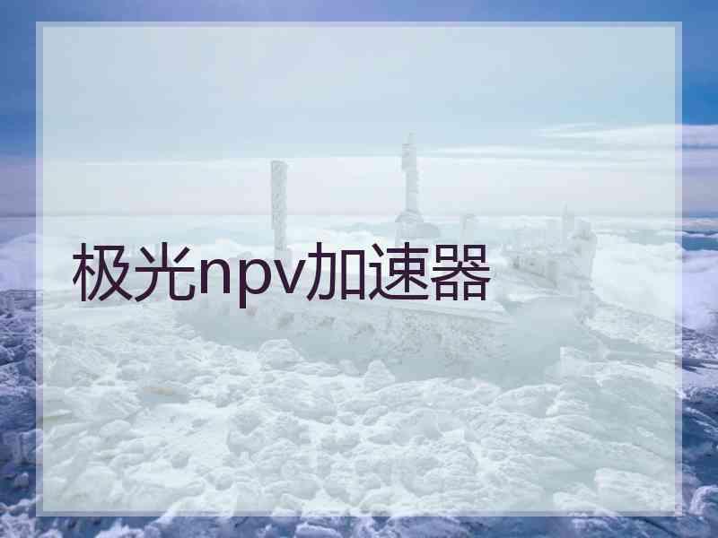 极光npv加速器
